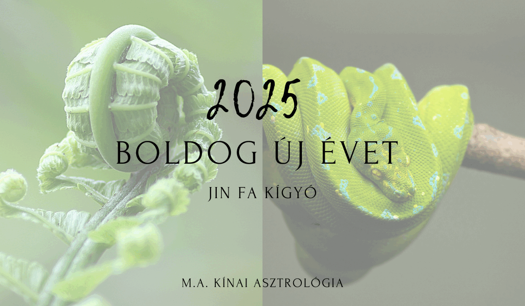 Éves előrejelzés-2025