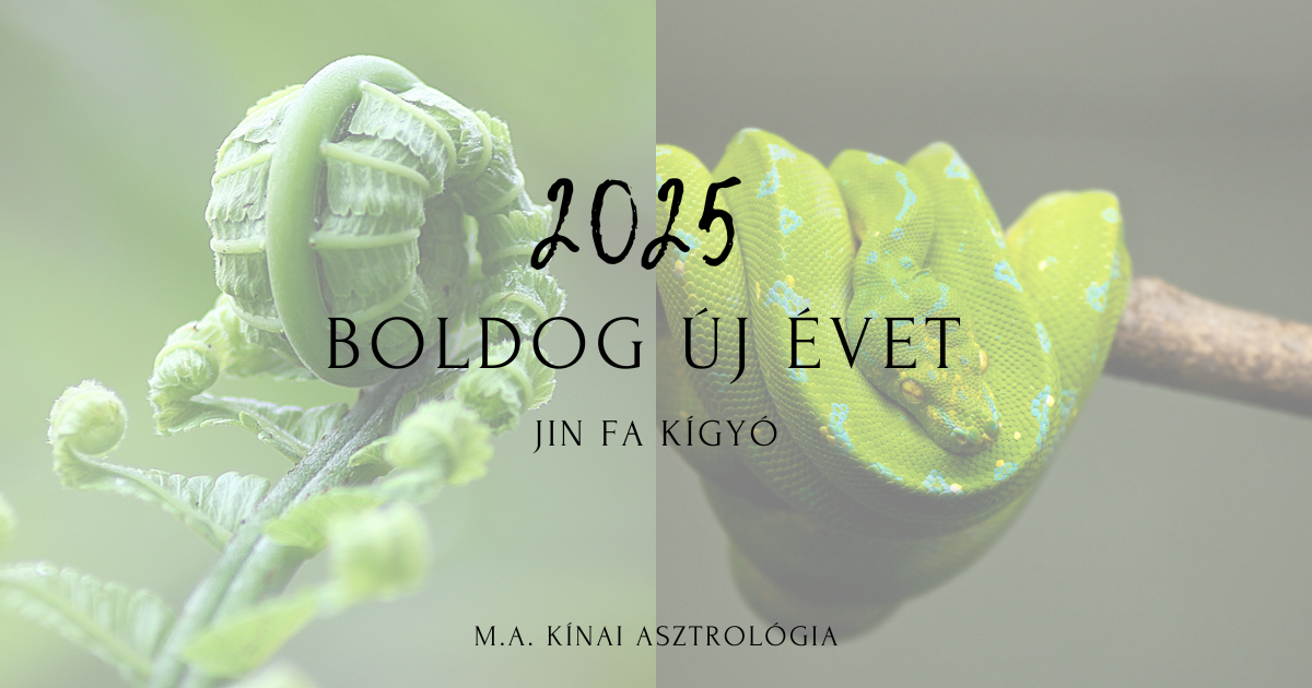 Éves előrejelzés-2025